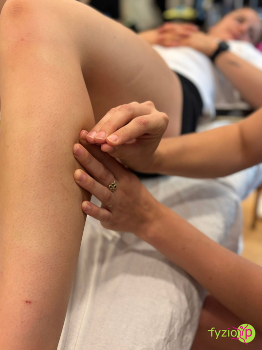 Diagnostika a terapie funkčních poruch metodou suché jehly