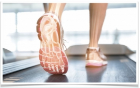 Zobrazit » Funkční diagnostika nohy, její aktivní kinezioterapie a individuální korekce